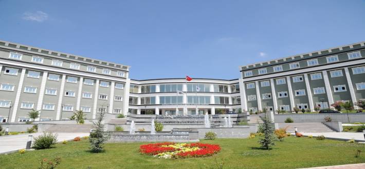 sakarya universitesi fizik